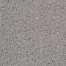 Shaw Floors Nfa/Apg Narrow Creek Lady In Grey