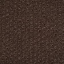 Shaw Floors Nfa/Apg Narrow Creek Bison