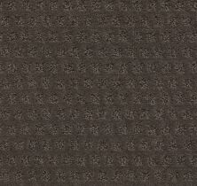 Shaw Floors Nfa/Apg Narrow Creek Glacier Park