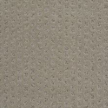 Shaw Floors Nfa/Apg Narrow Creek Missoula