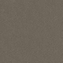 Shaw Floors Nfa Respected Mockingbird 00181_NA150