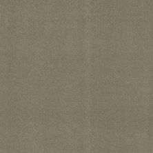 Shaw Floors Nfa Respected Silver Sage 00360_NA150