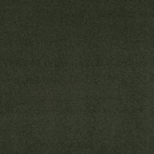 Shaw Floors Nfa Respected Hidden Valley 00363_NA150