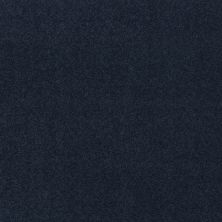 Shaw Floors Nfa Respected Ultramarine 00464_NA150