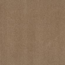 Shaw Floors Nfa Respected Burnt Ivory 00761_NA150