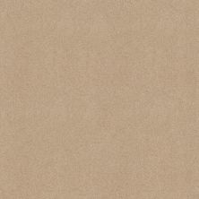Shaw Floors Nfa Refinement Antique Parchment 00165_NA151