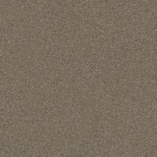 Shaw Floors Nfa Refinement Mockingbird 00181_NA151