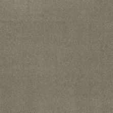 Shaw Floors Nfa Refinement Silver Sage 00360_NA151