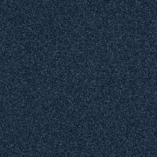Shaw Floors Nfa Refinement Riptide 00461_NA151