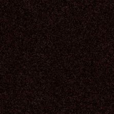 Shaw Floors Nfa Refinement Deep Woods 00769_NA151