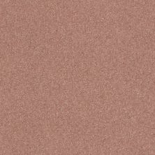 Shaw Floors Nfa Refinement Crimson Twilight 00860_NA151