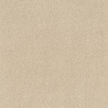 Shaw Floors Nfa/Apg Phenomenal II Winter White