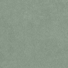 Shaw Floors Nfa/Apg Phenomenal II Daydream