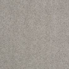 Shaw Floors Nfa/Apg Phenomenal II Sea Salt