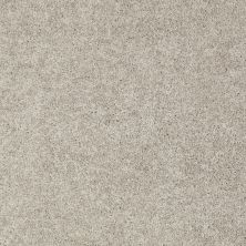 Shaw Floors Nfa/Apg Phenomenal II Silver Shadow