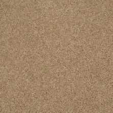 Shaw Floors Nfa/Apg Phenomenal II Natural Wood