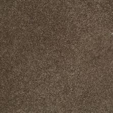 Shaw Floors Nfa/Apg Phenomenal II Townhouse