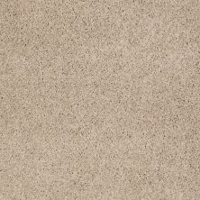 Shaw Floors Nfa/Apg Phenomenal II Ice Coffee