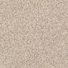 Shaw Floors Nfa/Apg Vigorous Mix III Horizon 00172_NA171