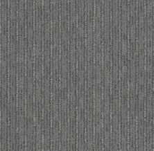 Shaw Floors Nfa/Apg Well Informed Metal 00577_NA172