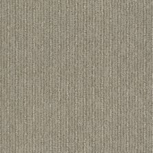 Shaw Floors Nfa/Apg Well Informed Park Avenue 00770_NA172