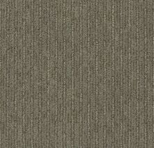 Shaw Floors Nfa/Apg Well Informed Abbey Stone 00771_NA172