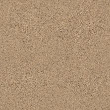Shaw Floors Nfa/Apg Get With It Bridle Leather 00270_NA174