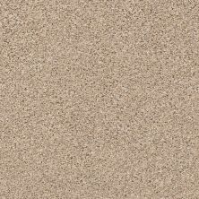 Shaw Floors Mixed Elegance II Twine