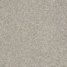 Shaw Floors Mixed Elegance II Silver Lining