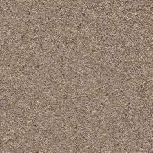 Shaw Floors Mixed Elegance II Cobble Drive