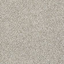 Shaw Floors Mixed Elegance III Snowbound