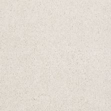 Shaw Floors Nfa/Apg On The Brink I Sentimental