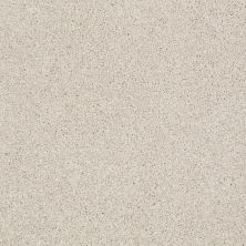 Shaw Floors Nfa/Apg On The Brink I Boutique