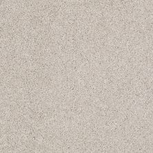 Shaw Floors Nfa/Apg On The Brink I Balanced Beige