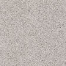 Shaw Floors Nfa/Apg On The Brink I Studio Taupe