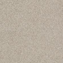 Shaw Floors Nfa/Apg On The Brink I Biscotti