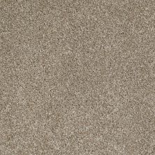 Shaw Floors Nfa/Apg On The Brink I Warmth