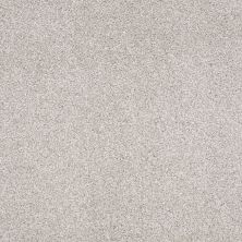 Shaw Floors Nfa/Apg On The Brink II Studio Taupe