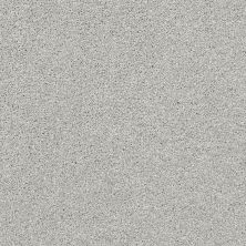 Shaw Floors Nfa/Apg On The Brink II Vapor