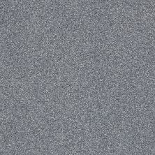 Shaw Floors Nfa/Apg On The Brink II Harbor