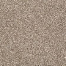 Shaw Floors Nfa/Apg On The Brink II Warmth