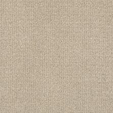 Shaw Floors Nfa/Apg Craftsman High Noon