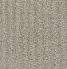 Shaw Floors Nfa/Apg Craftsman Silhouette