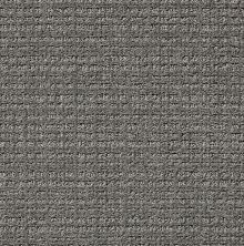 Shaw Floors Nfa/Apg Craftsman Metal