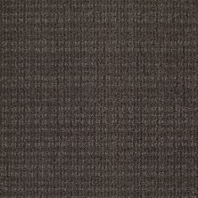 Shaw Floors Nfa/Apg Craftsman Iron Gate