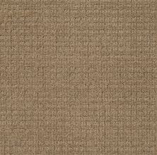 Shaw Floors Nfa/Apg Craftsman Summerville