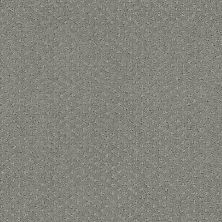 Shaw Floors Nfa/Apg Pure Instinct Metal