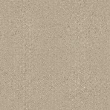 Shaw Floors Nfa/Apg Pure Instinct Park Avenue