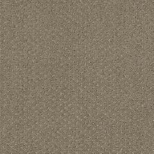 Shaw Floors Nfa/Apg Pure Instinct Abbey Stone