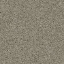 Shaw Floors Nfa/Apg Marlow I Slate